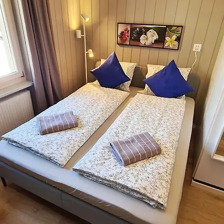 Appartement Alpine Disentis